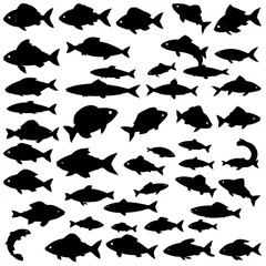 A set of black isolated fish silhouettes in various pose