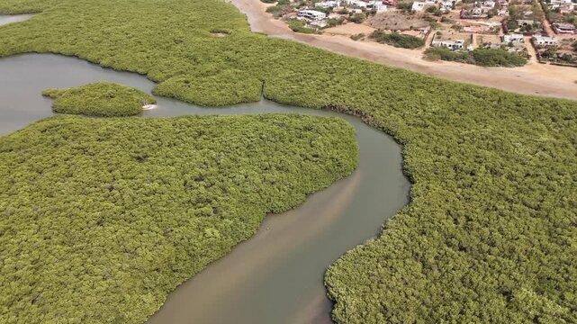 Drone footage of Somone mangrove forest with curved channels flowing toward the seaside village, Senegal West Africa.