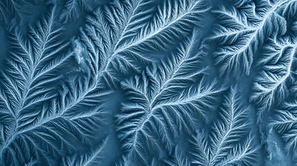 Stunning Abstract Blue Frost Pattern Winter Ice Crystals Background