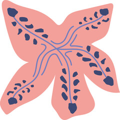 Stylized pink fivearmed starfish with blue spots and decorative line art.