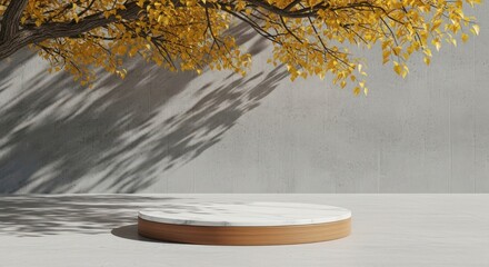 Autumn tree branch casting shadows on concrete wall podium