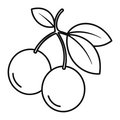 zante currant plum fruit line art on white background