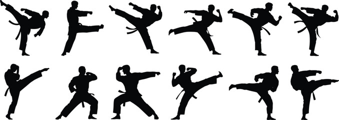 Martial arts silhouettes, karate poses, taekwondo icons, fighter stances, self-defense moves, athlete design, combat training, sports outline, vector illustration