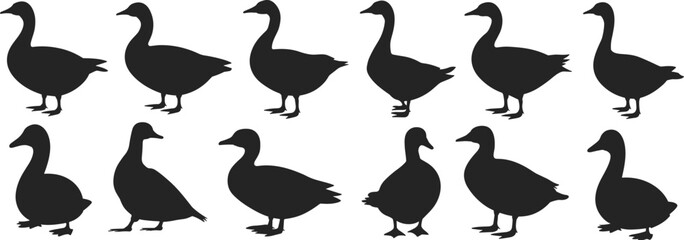 Duck and goose silhouettes, waterfowl icons, bird outlines, wetland wildlife, flying species, aquatic birds, nature design, avian shapes, vector illustration