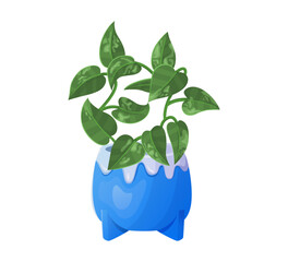 Pothos in pot vector illustration
