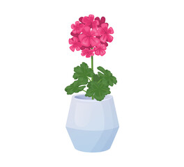 Geranium in pot vector illustration