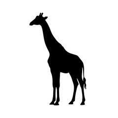 giraffe silhouette vector