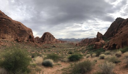 Fototapeta premium A vast landscape unfolds, showcasing reddish-brown rock formations and sparse desert vegetation under a cloudy sky.