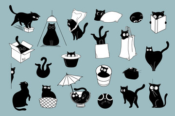 Black cats in various poses and containers on a blue background