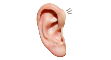 Isolated human ear closeup for medical concept in hearing or listening sense, no background