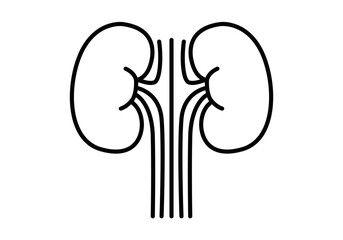 Icono negro de riñones en fondo blanco