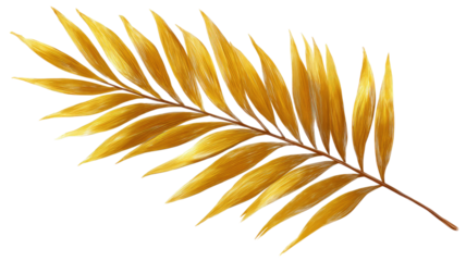 Golden palm tropical leaf exotic plant luxury decoration nature botany jungle paradise summer foliage elegant frond illustration isolated on white background