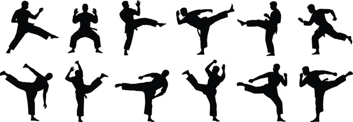 Martial arts silhouettes, karate kick icons, taekwondo vector set, kung fu poses, self defense illustration, fighter stance graphics, combat training design