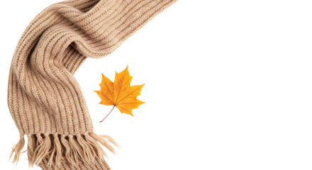 Warm beige knitted scarf and single maple leaf symbolize cozy autumn
