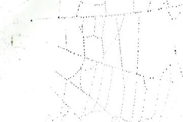 Transparent overlay background of a spider web spooky texture 