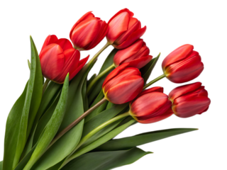 A bouquet of seven vibrant red tulips with long green stems and leaves against a black background
