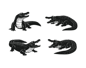 Fototapeta premium Four detailed black and white illustrations of alligators in different poses showing their reptilian features and sharp teeth
