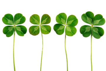 Four leaf clovers in a row against a black background symbolizing luck and irish tradition