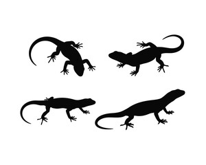 Four distinct black lizard silhouettes in various dynamic poses on a clean white background showcasing different reptilian movements and forms