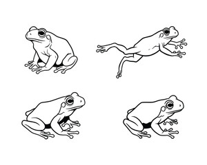 Four distinct hand drawn black and white illustrations of a frog in different dynamic poses on a white background