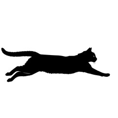 Black Cat Silhouette Running Forward