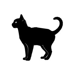 Black Cat Silhouette Standing Alert Pose