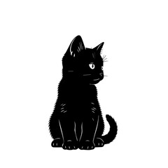 Black Cat Silhouette Sitting and Looking Up