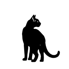 Black Cat Silhouette Standing Side View