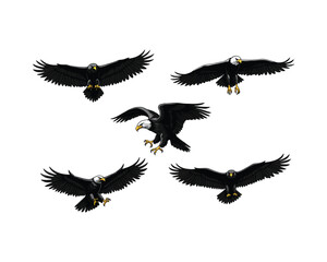 Five majestic black eagles in flight with wings spread wide against a clean white background isolated