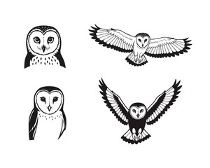 Collection of four hand drawn barn owl illustrations featuring close up portraits and full body flying poses in black and white sketch style