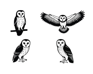 Four distinct black and white illustrations of barn owls in various poses including perched flying and standing against a white background