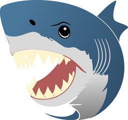 Shark Illustration Ocean Animal Design
