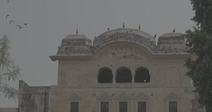 Ungraded C LOG 2 Fortress Gates In Jaipur. Part Of Former Fortification Wall Of City. Fly Pigeons In Slow Motion. Architecture Of Jaipur Or Pink City Due To Dominant Color Scheme Of Its Buildings In