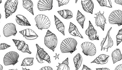 Seashell pattern