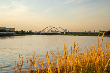 Obraz premium steel arch bridge. Golden grass stands tall along riverbank as sun sets, casting warm glow on water. The distant city skyline is visible in the background. Calamagrostis, herbaceous plants, Poaceae.