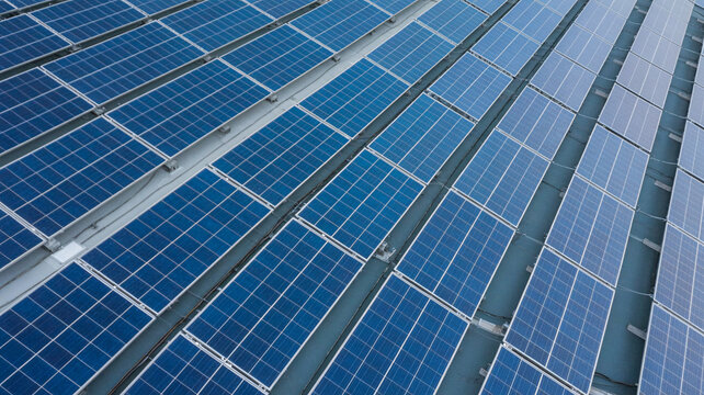 Expansive solar panel array captures clean energy, powering a sustainable future with advanced technology and environmental commitment.
