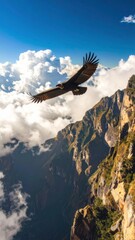 Fototapeta premium Majestic Andean Condor soars through the skies above rugged cliffs and clouds