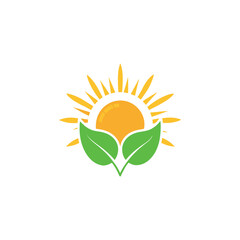 sun and leaf logo design vector 