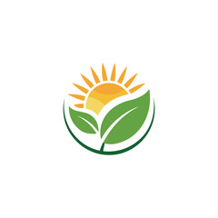 sun and leaf logo design vector 