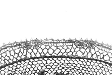 Transparent overlay background of a lace lacy fabric weaved texture