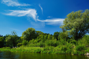 Fototapeta premium The Dunajec River forms a picturesque gorge in the Pieniny Mountains in Poland.