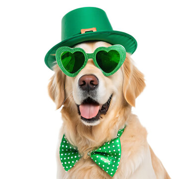 A golden retriever wearing st patrick's day hat, heart shaped glasses, and green bow tie on black background