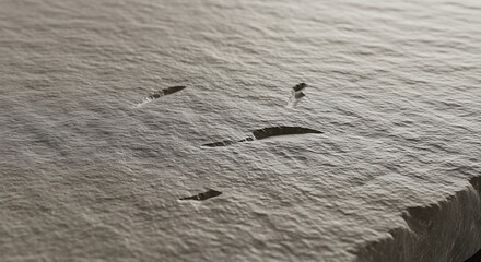 Close-up shot reveals a rough-textured, light-colored surface with a few elongated indentations