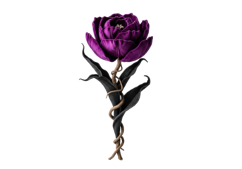 Exquisite, melancholic deep purple fabric tulip, open bloom, intricate layers, dark leaves, gnarled stem, on a transparent studio background with copy space. Concept of enduring faded beauty