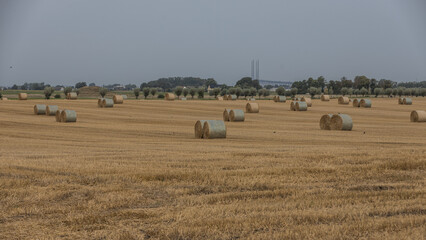 Sk&aring;ne landscape after harvest time