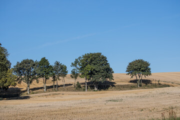 Sk&aring;ne landscape after harvest time