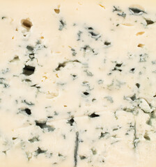 Blue cheese with holes, close-up.