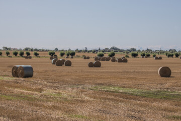 Sk&aring;ne landscape after harvest time