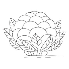 Obraz premium Simple Cartoon Cauliflower Vegetable Outline for Coloring Book Pages