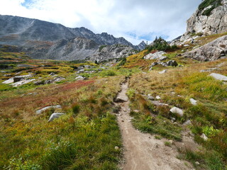 Fototapeta premium Mountain Trail through Autumn Alpine Meadow with Colorful Vegetation, Pawnee Pass Trail, Indian Peaks Wilderness, Colorado